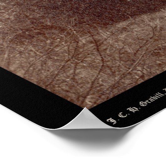 Harney's Peak net na een Storm SD 1890 Poster (Hoek)