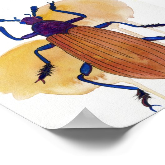 Harntpa Hpnpoabl Poster (Hoek)