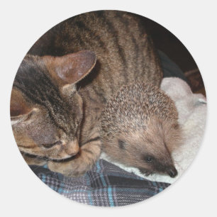Harold The Hedegel Sticker
