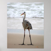 Haron op het strand - Verticale kleur 16 x 20 Poster (Voorkant)