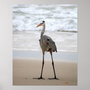 Haron op het strand - Verticale kleur 16 x 20 Poster