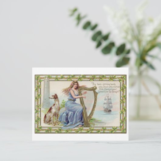 Harp and Dog, Shamrock, St. Patrick's Day,  Briefkaart (Staand voorkant)