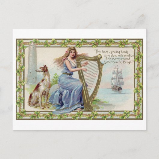 Harp and Dog, Shamrock, St. Patrick's Day,  Briefkaart (Voorkant)