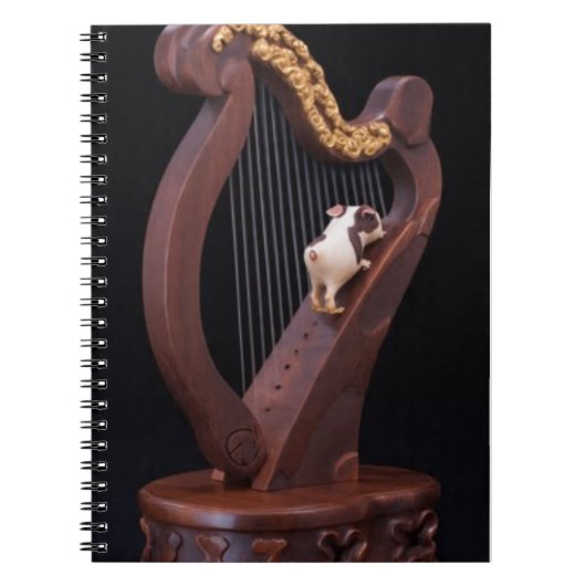 Harp & Mini Explorer Notebook Notitieboek (Voorkant)