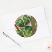 Harp of Erin  St. Patrick's Day Ronde Sticker (Envelop)