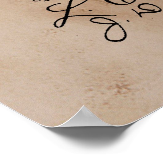  Harp Patent Poster (Hoek)