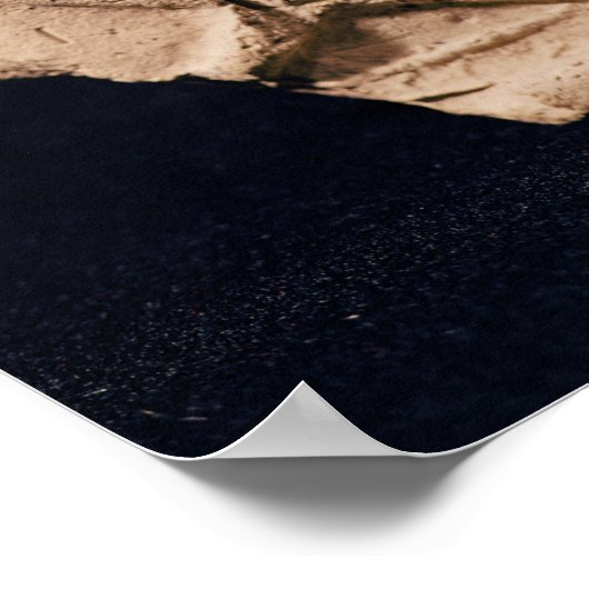 Harp player, 1830-1600 BC Poster (Hoek)