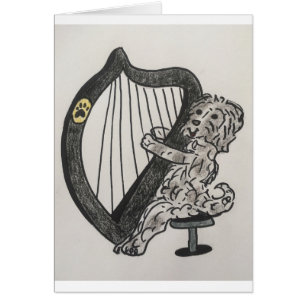 Harp puppy