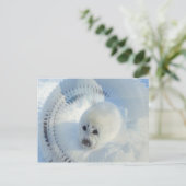 Harp Seal Briefkaart (Staand voorkant)
