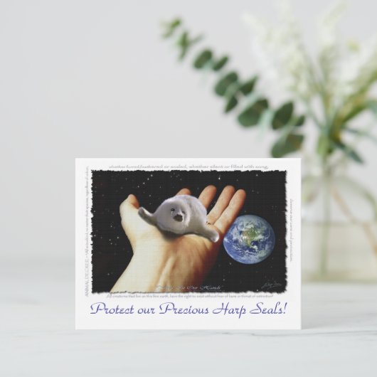 HARP SEAL Earth Day Briefkaarten (Staand voorkant)