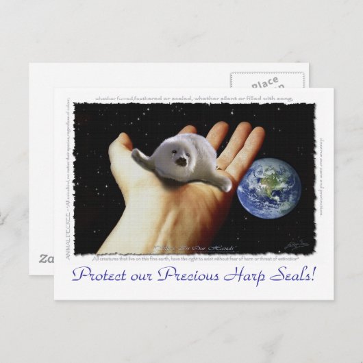 HARP SEAL Earth Day Briefkaarten (Voorkant / Achterkant)