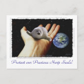HARP SEAL Earth Day Briefkaarten (Voorkant)