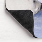 Harp Seal Moeder met Pup Muismat (Hoek)