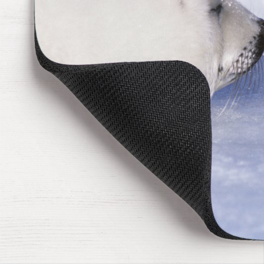 Harp Seal Moeder met Pup Muismat (Hoek)