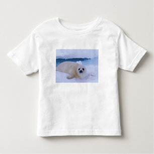 Harp Seal Noord-Amerika, Canada, Quebec Kinder Shirts