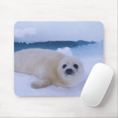 Harp Seal Noord-Amerika, Canada, Quebec Muismat (Met muis)