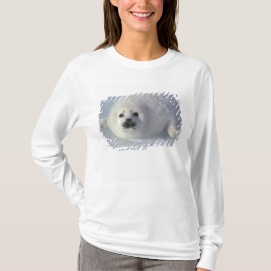 Harp seal Phoca Groenlandica) A week-old harp T-shirt (Voorkant)
