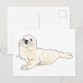 Harp Seal Pup Briefkaart (Voorkant / Achterkant)