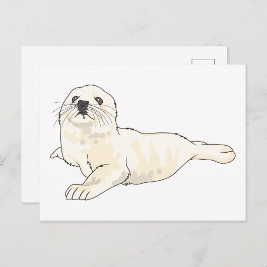 Harp Seal Pup Briefkaart (Voorkant / Achterkant)