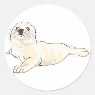 Harp Seal Pup Ronde Sticker