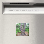 Harp Tree Caladesi Island Magnet (Insitu (Vaatwasser))