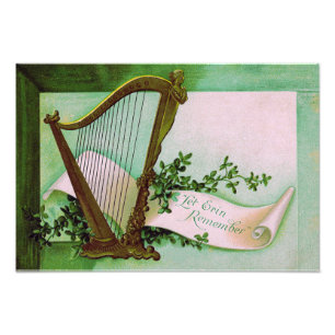Harp van Erin Shamrock Groen Foto Afdruk