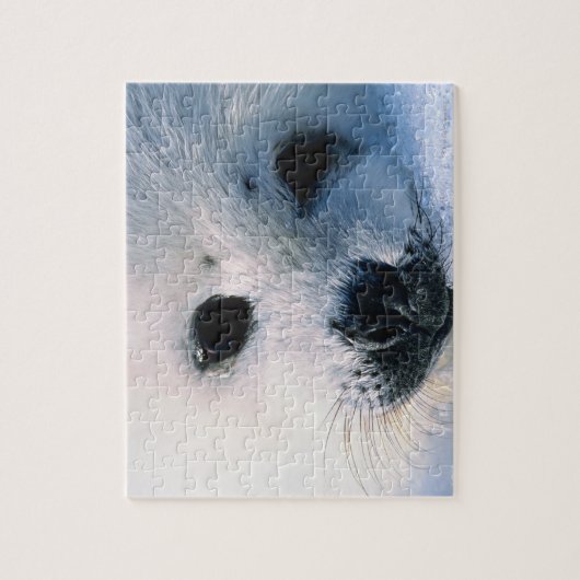 Harp zeehond 2 legpuzzel (Verticaal)