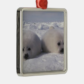 Harp-zeehond (Phoca groenlandica) Metalen Ornament (Rechts)