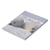 Harp-zeehond (Phoca groenlandica) Notitieblok (Linkerzijde)