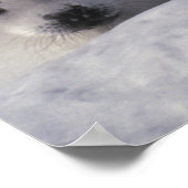 Harp-zeehond (Phoca groenlandica) Poster (Hoek)