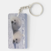 Harp-zeehond (Phoca groenlandica) Sleutelhanger (achterkant)