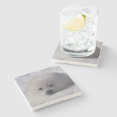 Harp-zeehond (Phoca groenlandica) Stenen Onderzetter (Zijkant)