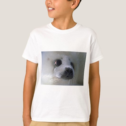 Harp-zeehond T-shirt (Voorkant)