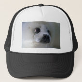 Harp-zeehond Trucker Pet (Voorkant)