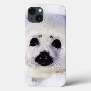Harp-zeehondenpup in de Golf van St. Lawrence Case-Mate iPhone Case