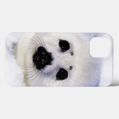 Harp-zeehondenpup in de Golf van St. Lawrence Case-Mate iPhone Case (Achterkant (horizontaal))