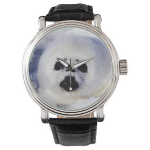 Harp-zeehondenpup in de Golf van St. Lawrence Horloge