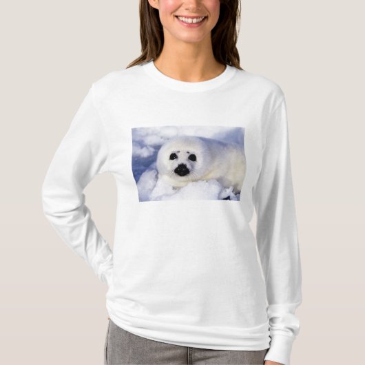 Harp-zeehondenpup in de Golf van St. Lawrence T-shirt (Voorkant)