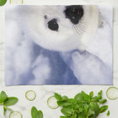 Harp-zeehondenpup in de Golf van St. Lawrence Theedoek (Gevouwen)