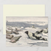  Harp-zegels in Arctische sneeuw door Louis Fuerte (Voorkant / Achterkant)