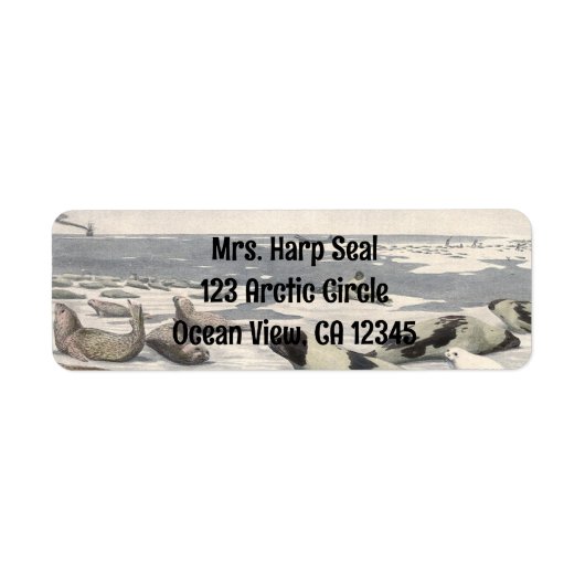 Harp-zegels in Arctische sneeuw door Louis Fuerte Etiket (Voorkant)