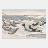  Harp-zegels in Arctische sneeuw door Louis Fuerte Inpakpapier Vel (Voorkant 3)