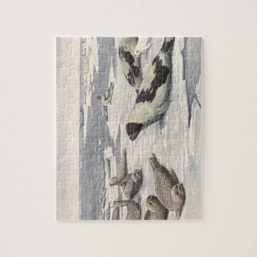  Harp-zegels in Arctische sneeuw door Louis Fuerte Legpuzzel (Verticaal)