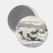 Harp-zegels in Arctische sneeuw door Louis Fuerte Magneet (Voorkant / Achterkant)