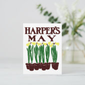Harper's Edward Penfield Daffodils uit 1899 Briefkaart (Staand voorkant)