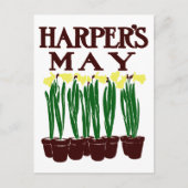 Harper's Edward Penfield Daffodils uit 1899 Briefkaart (Voorkant)