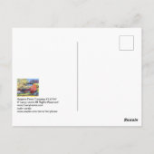 Harpers Ferry Crossing #130707 Briefkaart (Achterkant)