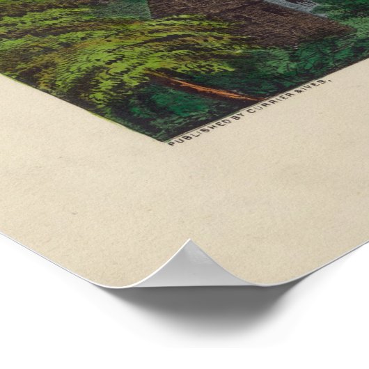 Harpers Ferry Jefferson County West Virginia 1859 Poster (Hoek)