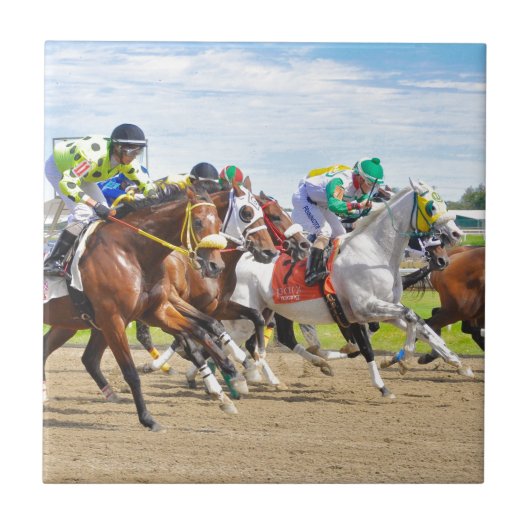 Harpoon - Frankie Pennington Tegeltje (Voorkant)