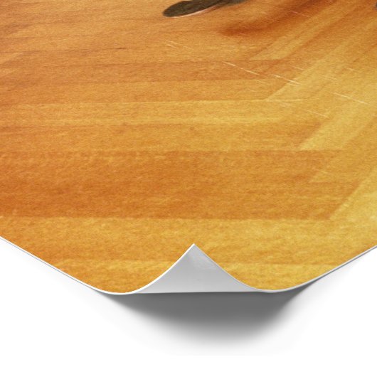 Harpsichord van Franz Joseph Haydn Poster (Hoek)